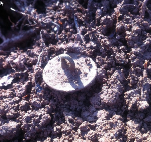 button-insitu
